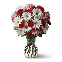 Fresh Mix Gerbera Carnation 24 Flowers in Vase Delivery in Hyderabad for Christmas