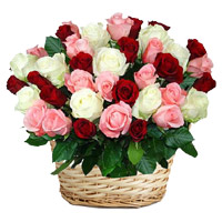 Midnight Red Pink White Roses Basket 50 Flowers Delivery in Hyderabad