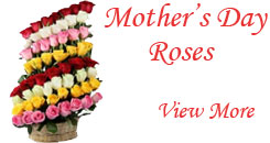 Mother's Day Roses to Rajamundry