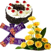 Flowers and Cakes to Hyderabad along with Arrangement of 12 yellow Gerbera with 5 Dairy Milk Silk(60 gm. each) and 1 kg Black Forest Cake in Hyderabad