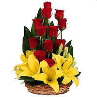 Send Rose Day Flower to Hyderabad