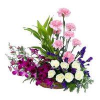 Deliver Flowers for Christmas Online Orchids Carnations and Roses Arrangement of 18 Flowers to Hyderabad