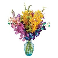 Online Delivery of Mixed Orchid Vase 15 Flowers in Hyderabad with Stem for Friendship Day