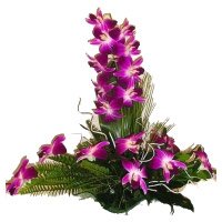 Online Christmas Flowers Delivery of 6 Purple Orchids Flower to Hyderabad Arrangement