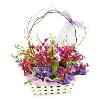 Send Rakhi with Flowers in Hyderabad. Mixed Orchid with Stem in Basket of 12 Flowers to Hyderabad