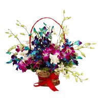 Send Online Mixed Orchid Basket with 9 Stem of Rakhi Flowers to Hyderabad