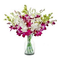 Send Purple White Orchid in Vase 10 Flowers to Hyderabad
