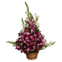 Send Online New Year Flowers to Tirupati send to 8 Orchids and 10 Glads Arrangement