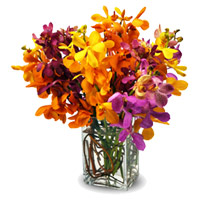 Get Best Diwali Flowers Delivery in Hyderabad made of Mixed Orchid Vase 10 Flowers Stem