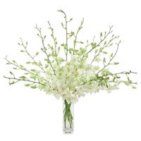 New Year Flowers to Tirupati. White Orchid Vase 10 Flowers Stem