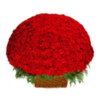Order flowers for Friendship Day take in Red Roses Basket 500 Flowers Online Delivery in Hyderabad