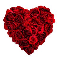 Place Order for Red Roses Heart Arrangement 100 Flowers in Hyderabad for Friendship Day