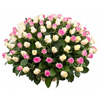Online Friendship Day Flowers in Hyderabad to Deliver White Pink Roses Basket 100 Flowers
