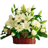 Deliver New Year Flowers to Hyderabad consisting White Lily Roses Gerbera Basket 20 Flowers