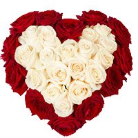 Shop for New Year Flowers to Vijayawada containig Red White Roses Heart 50 Flowers in Hyderabad