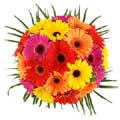 Valentines Day Flowers to Hyderabad