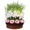 Flowers to Hyderabad, Send Flower to Hyderabad
