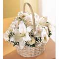 Send Flowers to Hyderabad