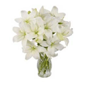 Send Flowers to Hyderabad