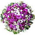 Flowers to Hyderabad : Send flowers to Hyderabad