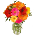 Flowers to Hydrabad