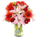 Send  Flowers to Hydrabad