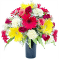 Send  Flowers to Hydrabad