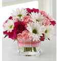 Flowers to Hydrabad : Send Flowers to Hyderabad