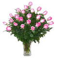 Send Flowers to Hyderabad : Flowers to Hyderabad