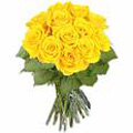 Flowers to Hyderabad : Send Flowers to Hyderabad