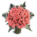 Send Flowers to Hyderabad : Flowers to Hyderabad