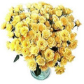 Send Flowers to Hyderabad