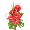 Flowers to Hyderabad, Send Flowers to Hyderabad
