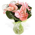 Flowers to Hyderabad, Fathers Day Flowers to Hyderabad