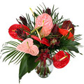 Flowers to Hyderabad, Valentines Day Flowers to Hyderabad