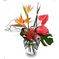 Flowers to Hyderabad, Send Flowers to Hyderabad