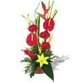 Flowers to Hyderabad, Anniversary Flowers to Hyderabad