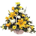 Send Flowers to Hyderabad