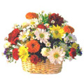 Flowers to Hyderabad