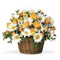 Flowers to Hyderabad