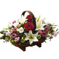Flowers to Hyderabad
