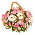 Flowers to Hyderabad