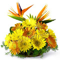 Send Flowers to Hyderabad