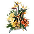 Flowers to Hyderabad, Send Valentines Day Flowers to Hyderabad