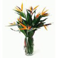 Flowers to Hyderabad, Send Valentine's Day Flowers to Hyderabad