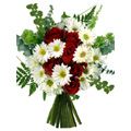 Send Flowers to Hyderabad