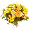 Send Flowers to Hyderabad : Flowers to Hyderabad
