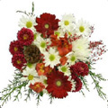 Send Flowers to Hyderabad : Flowers to Hyderabad