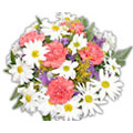 Send Flowers to Hyderabad : Flowers to Hyderabad