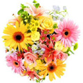 Flowers to Hyderabad